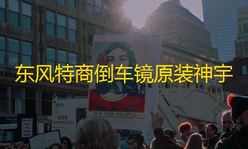 区突围透视辅助功能东风特商倒车镜原装神宇擎宇三环大运风度倒车镜汽车反光镜后视镜